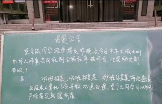 教育心理学案例分析