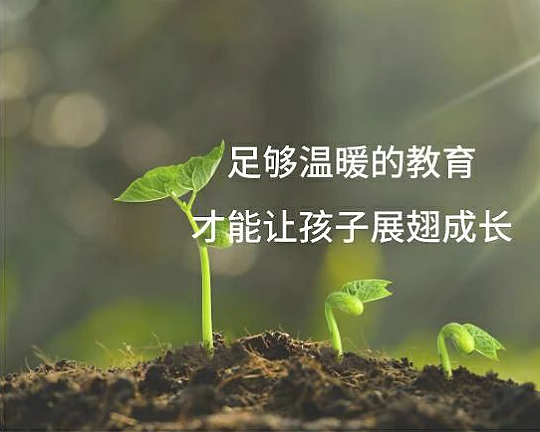 儿童自闭症怎么办，儿童心理咨询沙盘游戏案例